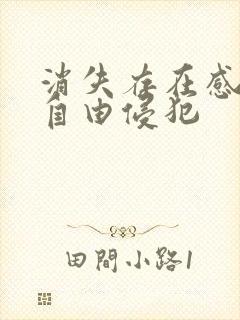 消失存在感消失自由侵犯封面