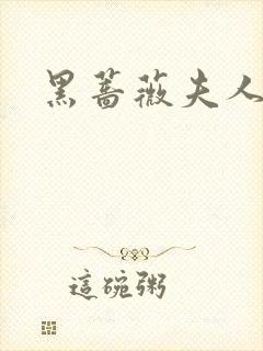 黑蔷薇夫人封面