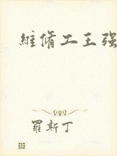 维修工王强张婷