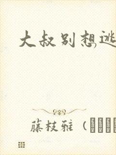 大叔别想逃