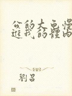 公的大龟慢慢挺进我的体内