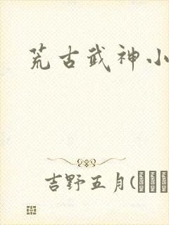 荒古武神小说