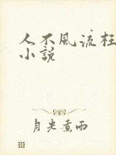 人不风流枉少年小说