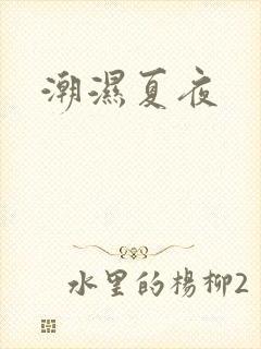 潮湿夏夜封面