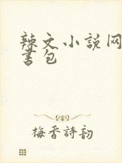 辣文小说网第二书包封面