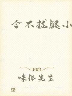合不拢腿小说
