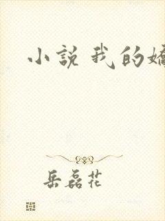 小说 我的娇妻封面