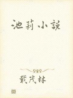 池莉小说