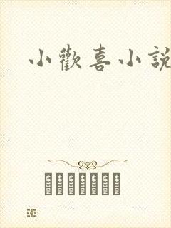 小欢喜小说