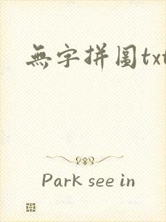 无字拼图txt封面