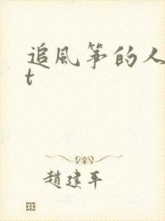 追风筝的人txt