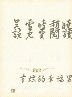 吴雪晴赵晓东小说免费阅读封面