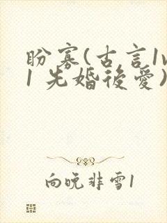 盼寡(古言1v1 先婚后爱)荔枝好多