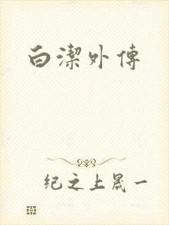 白洁外传