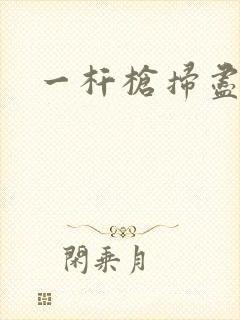 一杆枪扫尽全家封面