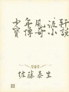 少年风流轩辕大宝传奇小说