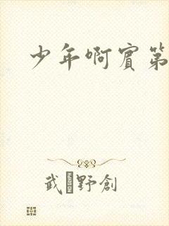 少年啊宾第二部封面