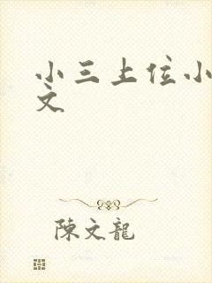 小三上位小说全文