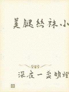 美腿丝袜小说封面