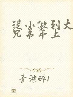 从小做到大骨科兄弟年上