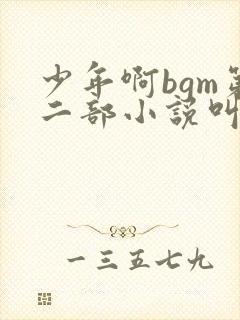 少年啊bgm第二部小说叫什么封面