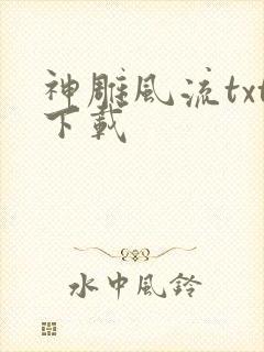 神雕风流txt下载