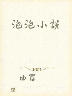 泡泡小说