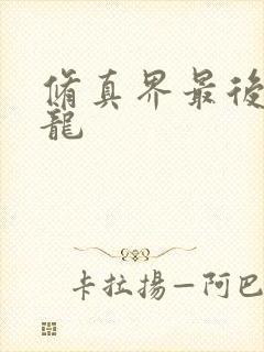 修真界最后一条龙