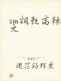 sm调教高辣h文