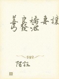 善良娇妻让老乞丐发泄封面