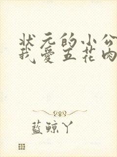 状元的小公主(我爱五花肉)封面