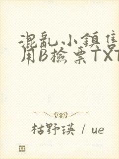 混乱小镇售票员用B检票TXT封面