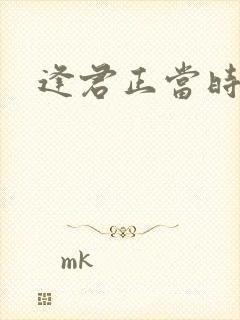 逢君正当时封面