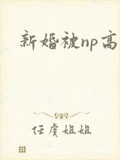新婚被np高h