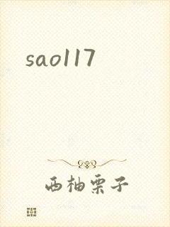 sao117封面