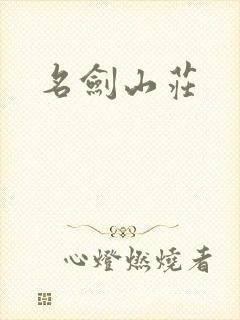 名剑山庄封面