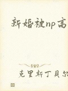 新婚被np高h