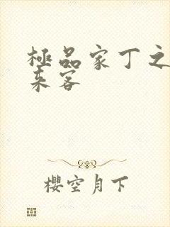 极品家丁之远方来客