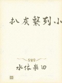 扒灰系列小说封面