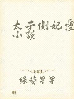 太子侧妃傻乎乎小说