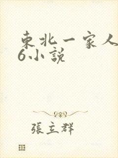 东北一家人1一6小说
