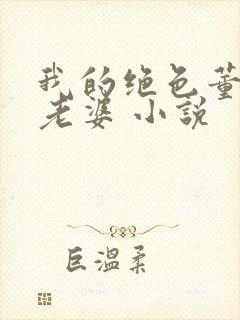 我的绝色董事长老婆 小说