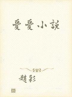 爱爱小说