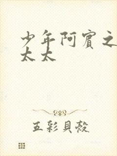 少年阿宾之房东太太