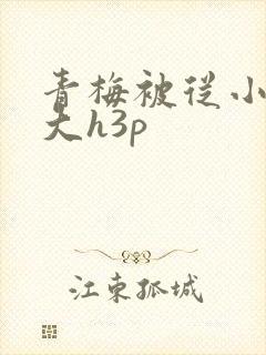 青梅被从小摸到大h3p