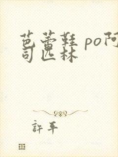 芭蕾鞋 po阿司匹林