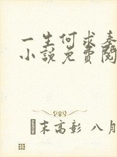 一生何求秦菲雪小说免费阅读封面