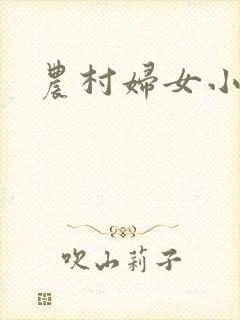 农村妇女小说封面