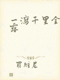 一泻千里金银花露封面