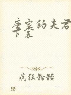 唐家的夫君们帘下衾